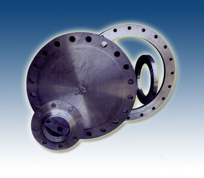 Flange